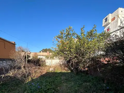 Villegas 39