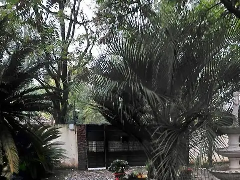 Intendente Juan Irigoin & Dorrego, B1663 San Miguel, Provincia de Buenos Aires, Argentina, San Miguel, Buenos Aires, Argentina.