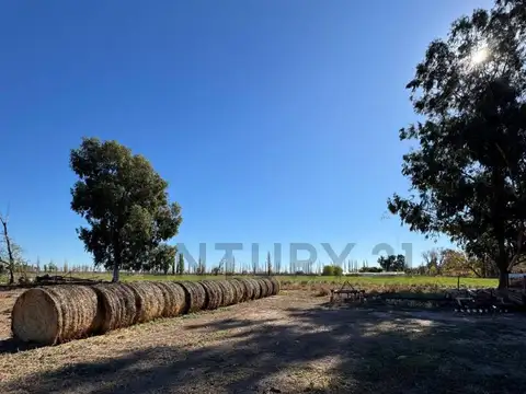 ruta provincial 179 , Piso 0