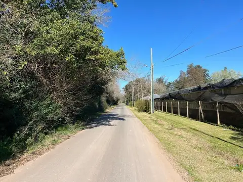 Terreno en Venta de 2500,0 m2
