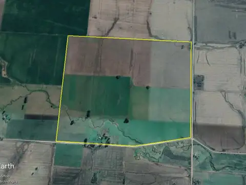 Campo - Colonia El Potrero