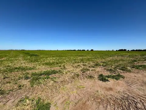 Campo a metros de la autopista Rosario-Buenos Aires