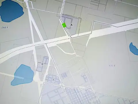 Avenida Negri 100