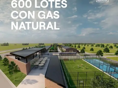 Terreno en Venta en Villa Amelia, USD 5.000