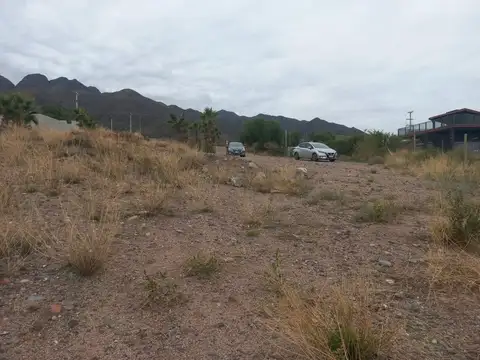 REMAX VENDE LOTE EN COLONIA SUIZA  MENDOZA