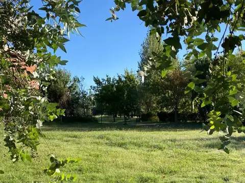 Terreno en Venta de 1000,0 m2