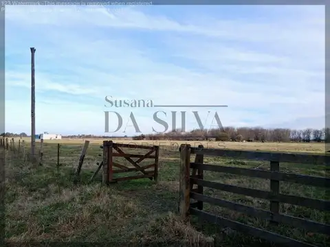 3 HECTAREAS en Zona Industrial Gral. Las Heras