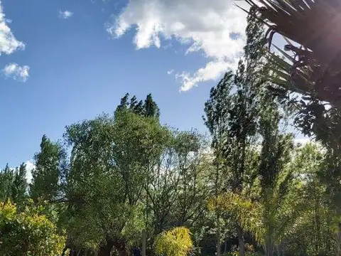 VENTA CASA QUINTA CAMPO 2,5 HECTAREAS, LOS TALAS, BERISSO