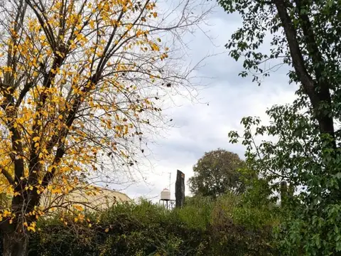 Quinta en Alquiler 20 años