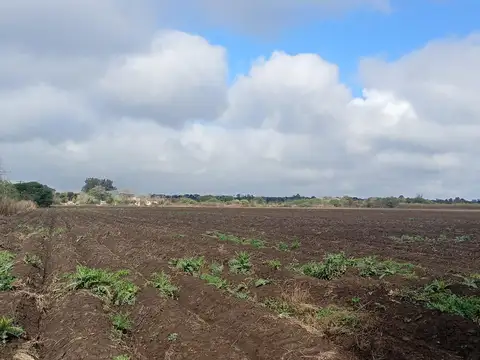 VENTA TERRENO  DESARROLLO INMOBILIARIO COLONIA TIROLESA