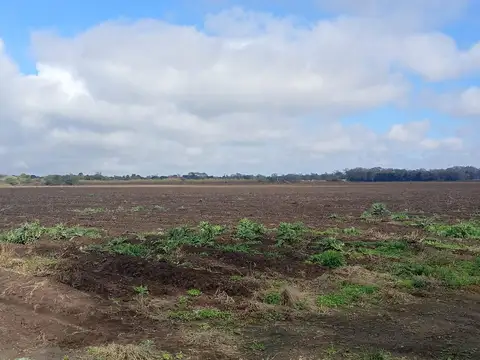 VENTA CAMPO PARA DESARROLLO INMOBILIARIO COLONIA TIROLESA