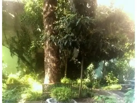 Departamento en Alquiler Temporal Apto profesional