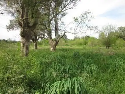 Ameghino (Río Atuel)