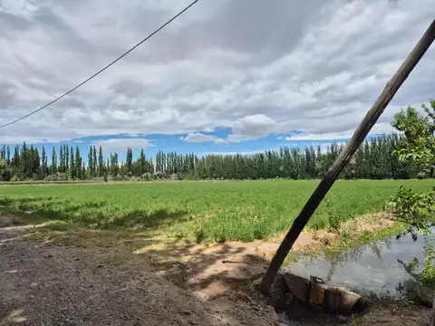 Calle 13, Lote 11 s/n, Campo Grande