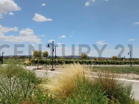 Century 21 López vende Lote en Barrio Privado Tupungato Valley Valle de Uco Mend