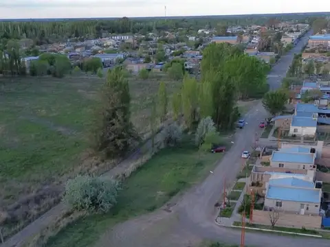 VENTA CHACRA LUIS BELTRAN 5,6 HECTAREAS