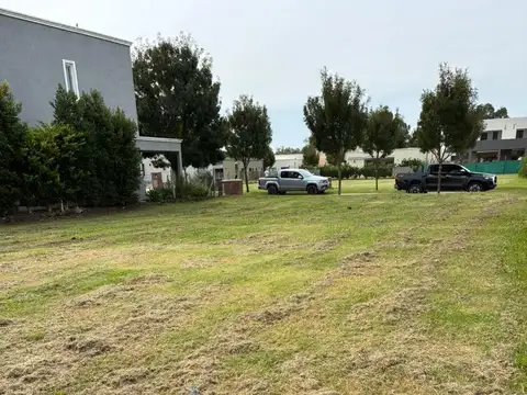 LOTE CENTRAL EN SANTO TOMAS