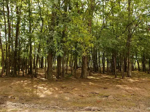 Terreno en Venta en Estancias Del Pilar