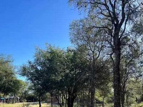 Ruta 100