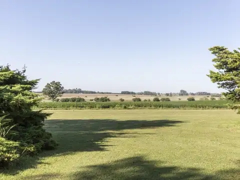 92 Has. Campo con Casco y Costa de Arroyo en Campana