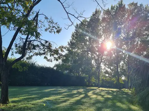 Terreno en Venta de 872,0 m2