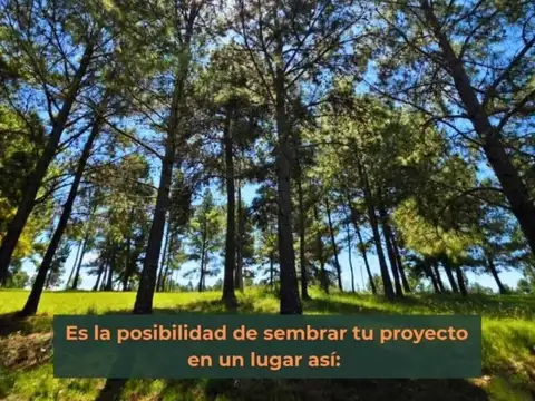 Lote de 629 mts2 en Villa Yacanto - Barrio Privado de Montaña con electricidad, agua e internet
