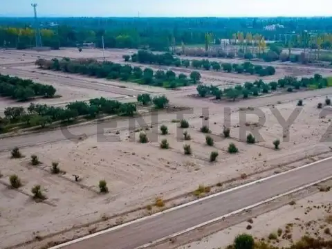 Terreno en Venta de 300,0 m2