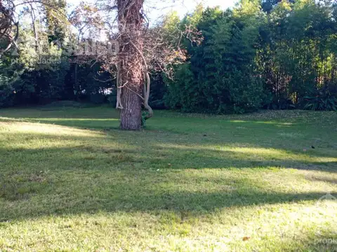 Av Pedragosa Sierra esq Madrid