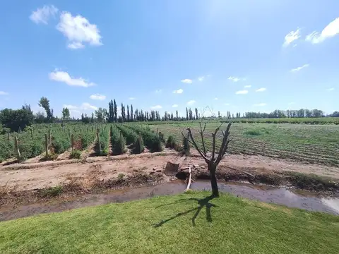 Venta Finca El Algarrobal Mendoza