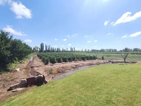 Presidente Quintana 5000