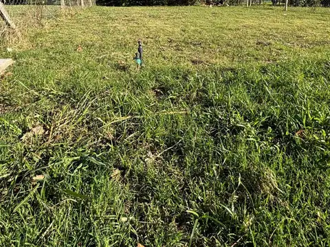 Terreno en Venta de 196,0 m2