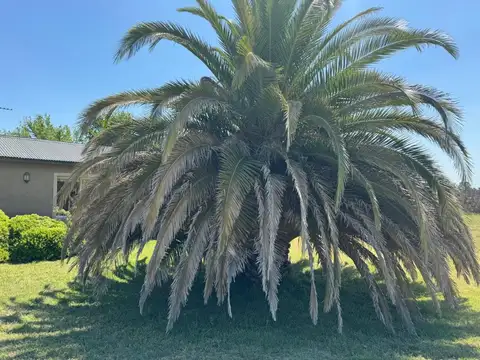 Casa en Venta en Estancia Benquerencia Farm Club, USD 317.000