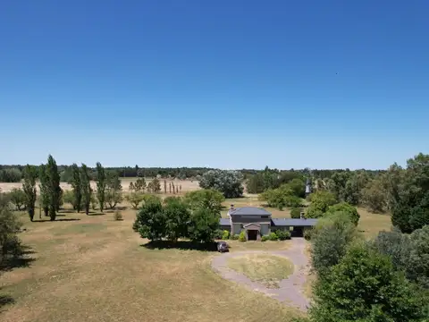 Ruta 41 100