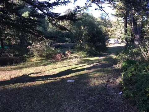 Terreno en Venta de 3585,0 m2