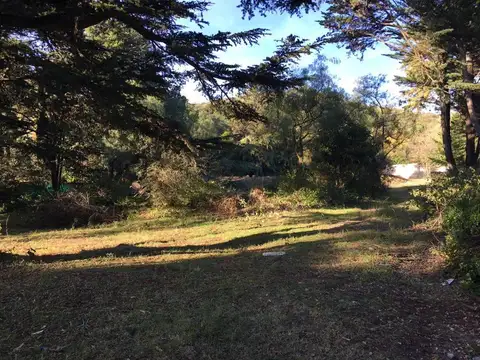 Terreno en Venta 119  mts Fondo