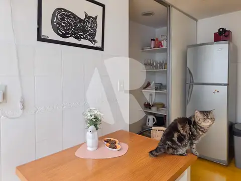 Departamento 4 ambientes con 1 baño