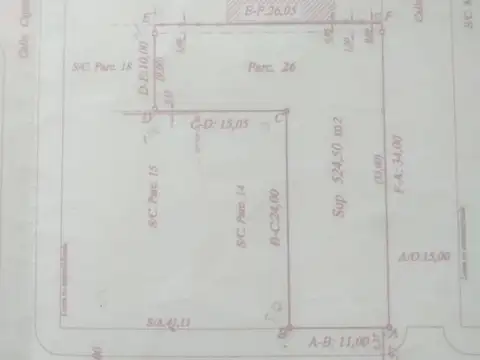 Inmaculada Concepción 250