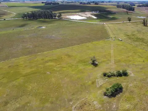 Chacra de 5 hectáreas, en Camino Medellín y Ruta 104-Manantiales, Maldonado/Punta del Este/Uruguay 100
