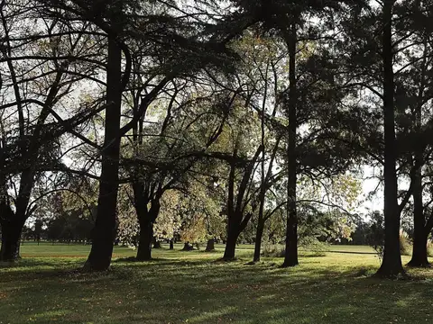 Terreno en Venta de 906,0 m2