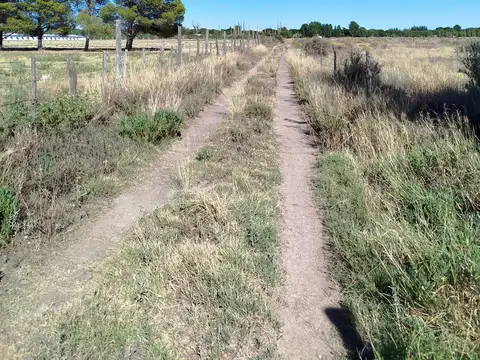 Terreno en Venta 50  mts Frente