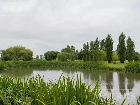 Terreno en Venta de 5500,0 m2