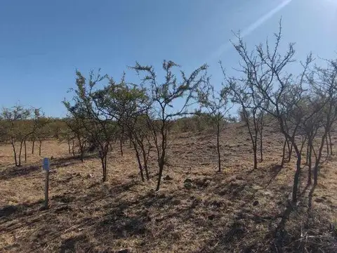 Terreno en Venta de 700,0 m2