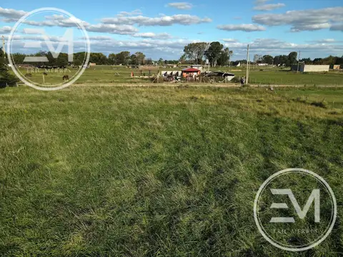 Florencio Sanchez s/n