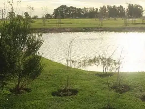 Terreno en Venta de 880,0 m2