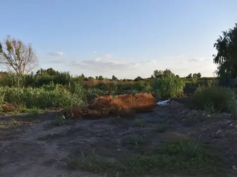 SILVANO RODRIGUEZ 2200, Piso 0