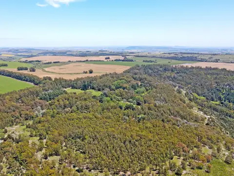 Balcarce - 67 ha. Ideal uso turísitico-recreativo