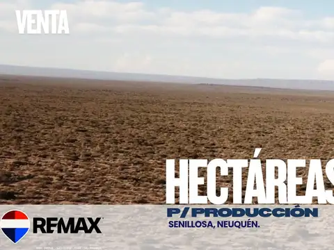 VENTA HECTAREAS EN SENILLOSA