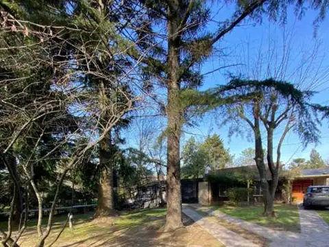 31  e/  Diag 421 Bis y 423 500