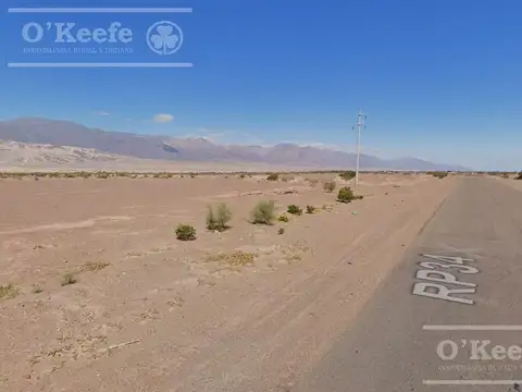 Campo en  venta 101 has Fiambala, Catamarca