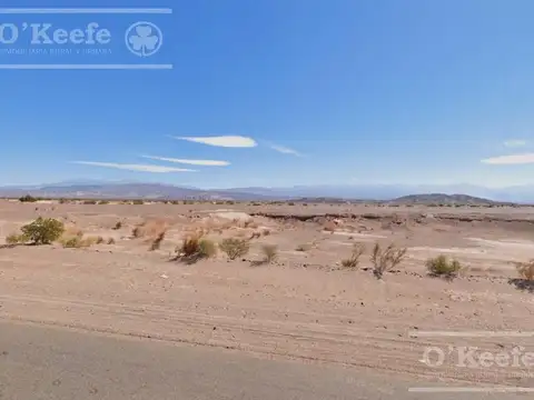 Campo en  venta 101 has Fiambala, Catamarca
